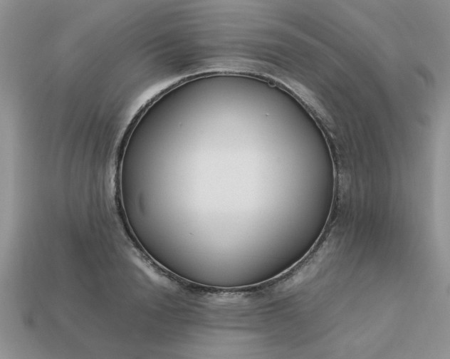 X0000113010846200909101816