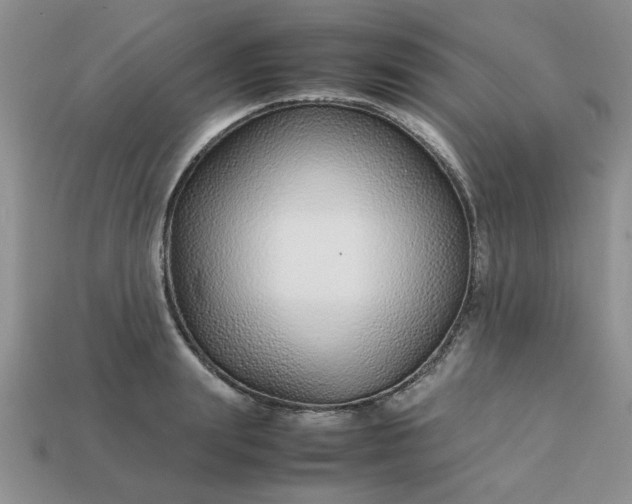 X0000113010847200909101816