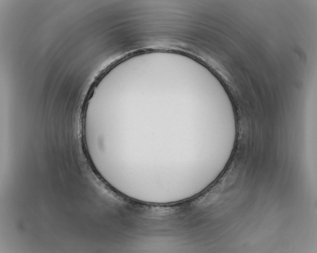 X0000113010848200909101816