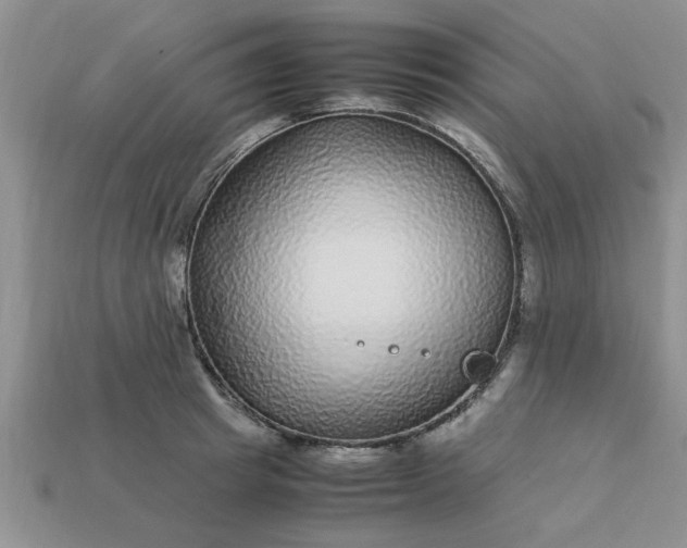 X0000113010849200909101816