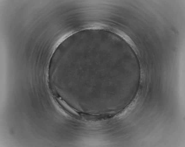 X0000113010850200909101816