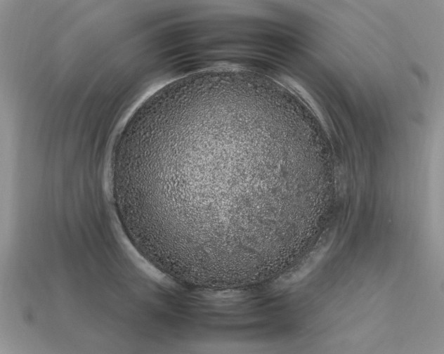 X0000113010851200909101816