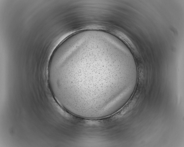 X0000113010852200909101816