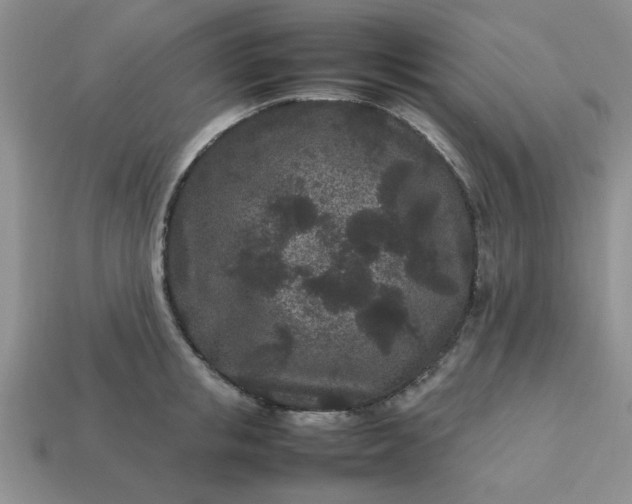 X0000113010853200909101816