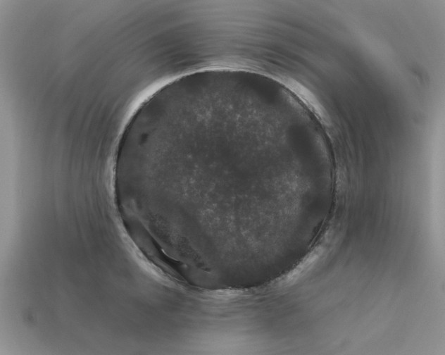 X0000113010854200909101816