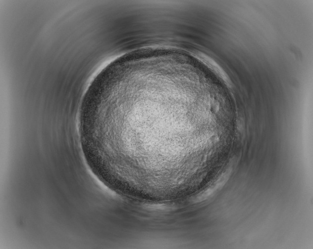 X0000113010855200909101816