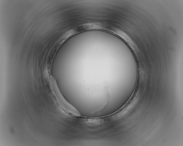 X0000113010857200909101816