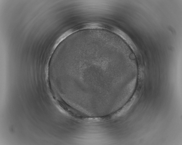 X0000113010858200909101816