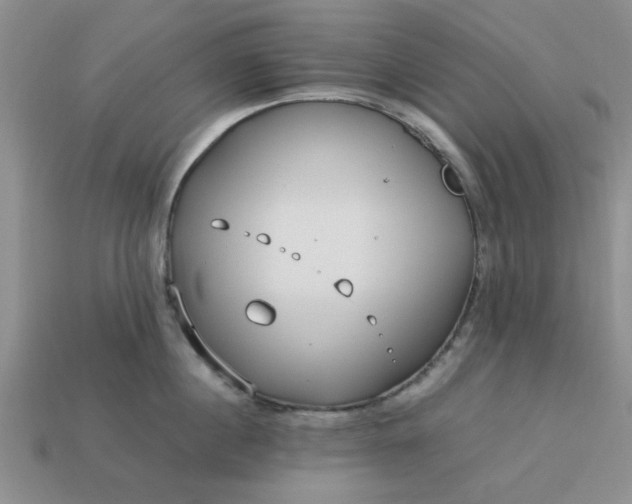 X0000113010860200909101816