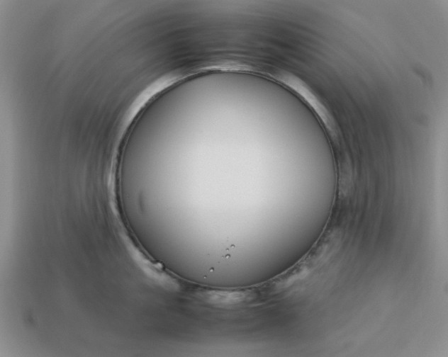 X0000113010861200909101816