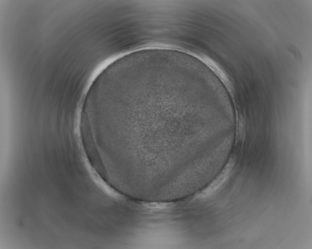 X0000113010862200909101816