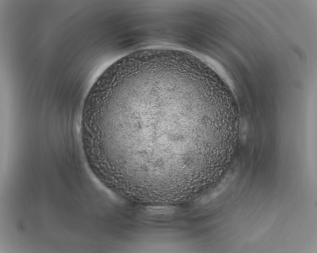 X0000113010863200909101816