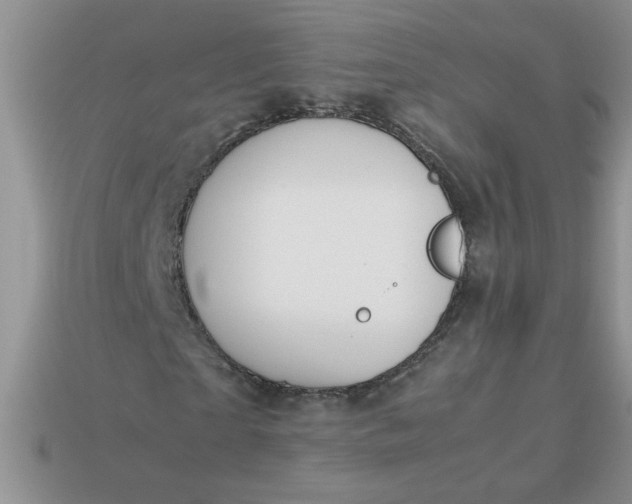 X0000113010865200909101815