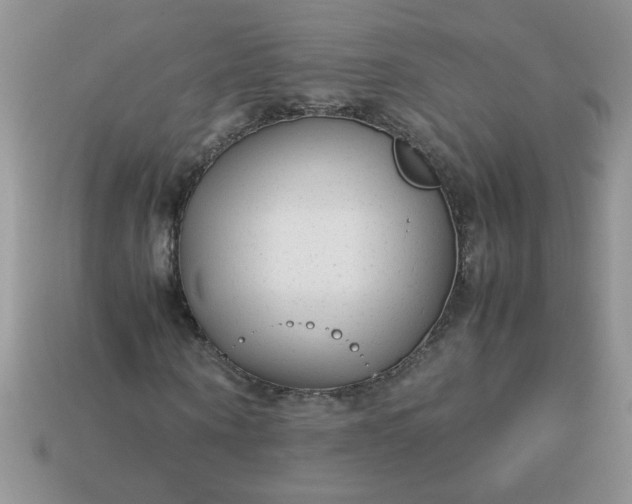 X0000113010866200909101815