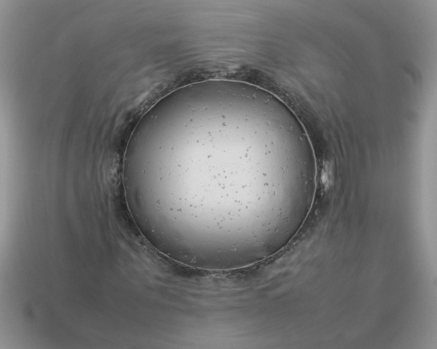 X0000113010867200909101815