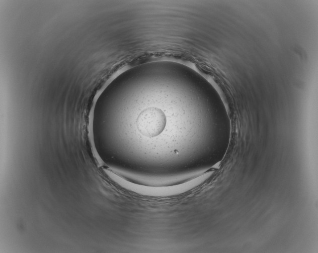 X0000113010868200909101815