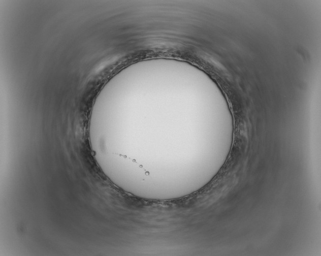 X0000113010869200909101815