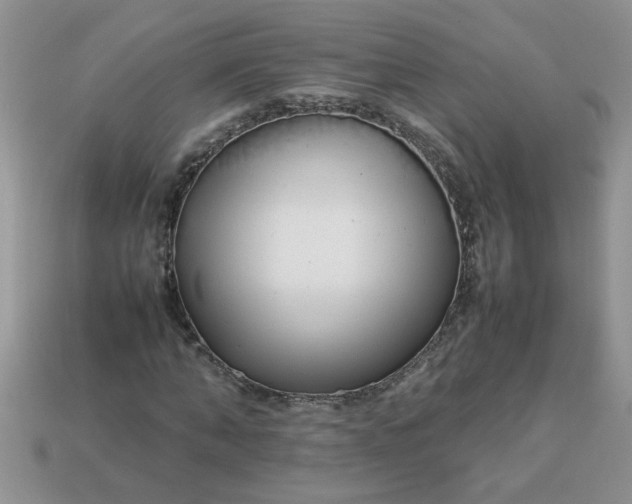 X0000113010870200909101815