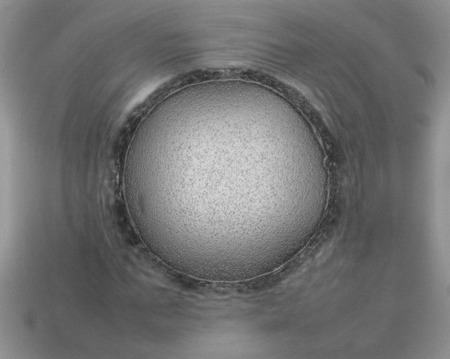 X0000113010871200909101815