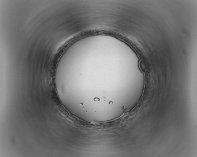 X0000113010872200909101815