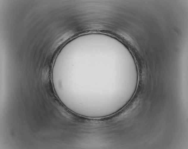 X0000113010873200909101815