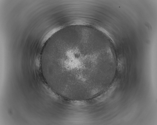 X0000113010874200909101815