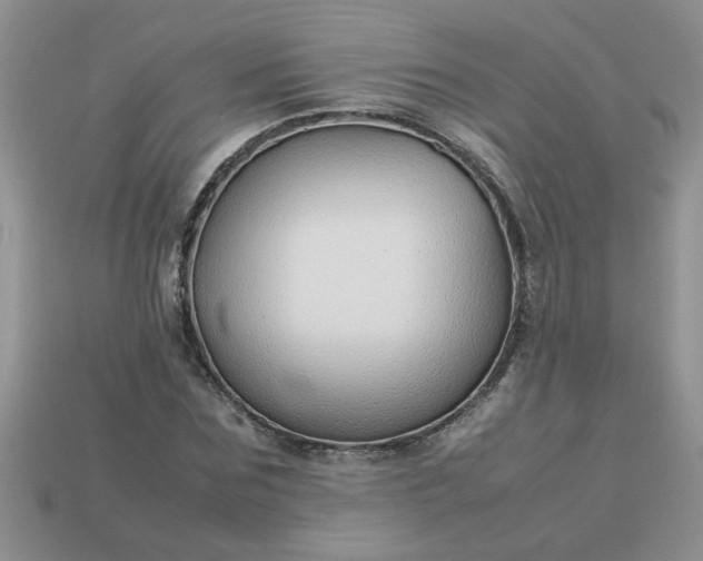 X0000113010875200909101815