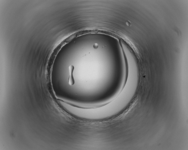 X0000113010876200909101815