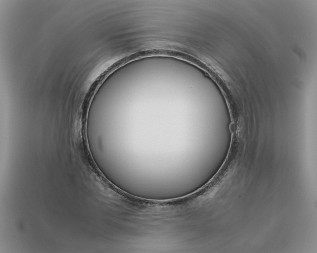 X0000113010877200909101815