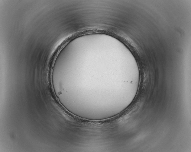 X0000113010878200909101815