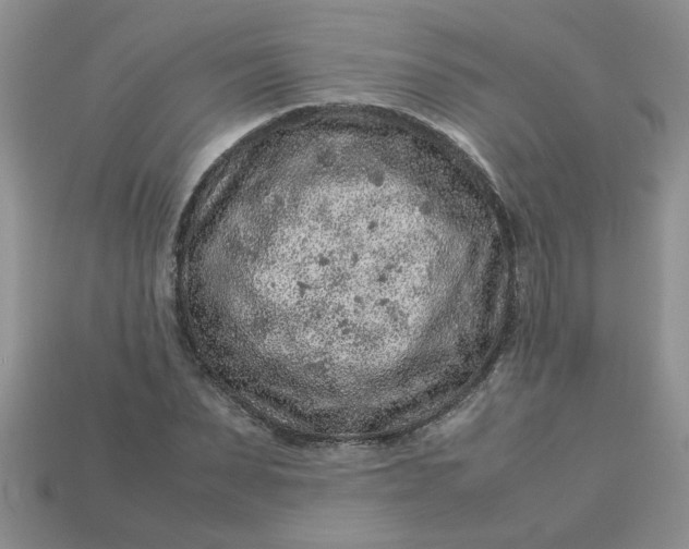 X0000113010879200909101815