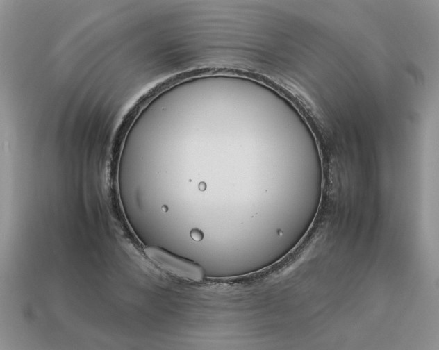 X0000113010880200909101815