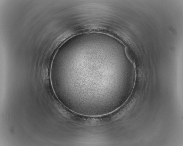 X0000113010881200909101815