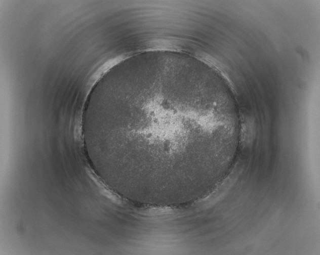 X0000113010882200909101815