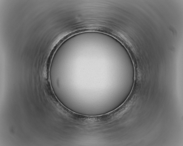 X0000113010883200909101815