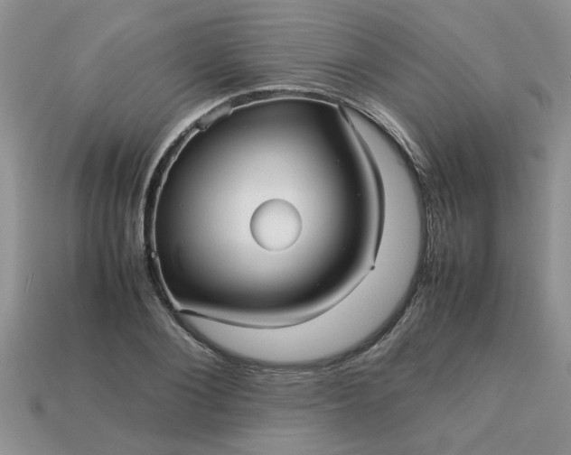 X0000113010884200909101815