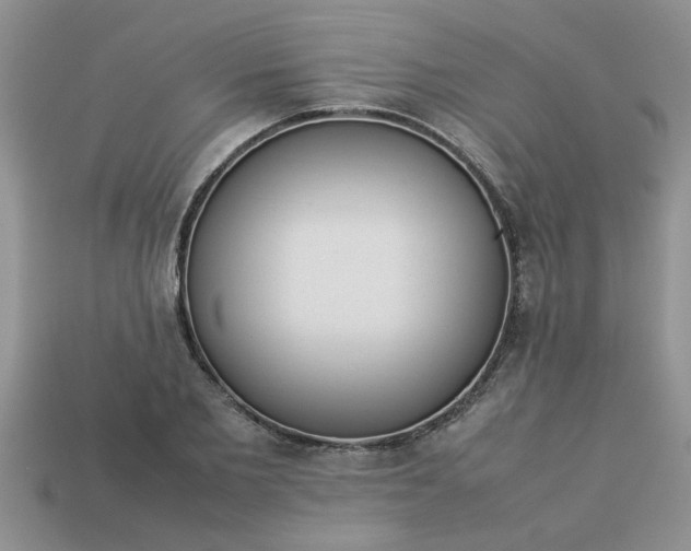 X0000113010885200909101815