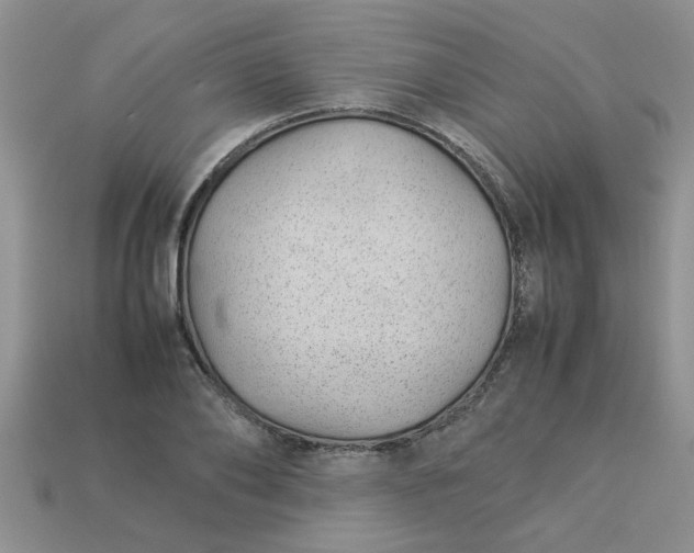 X0000113010886200909101815