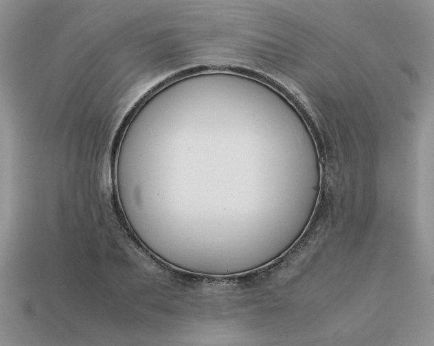 X0000113010887200909101815