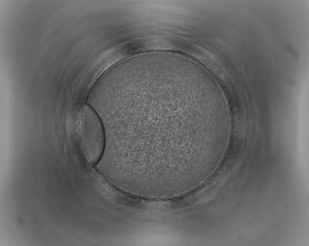 X0000113010889200909101815