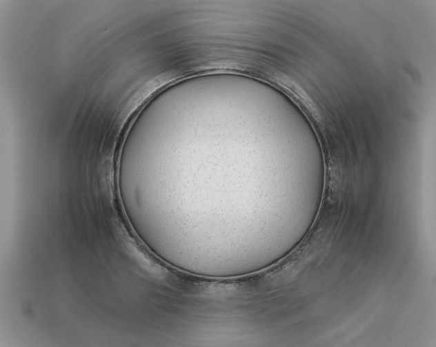 X0000113010890200909101815