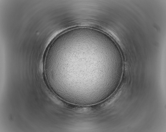 X0000113010891200909101815