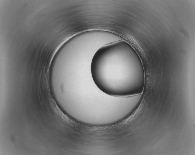 X0000113010892200909101815