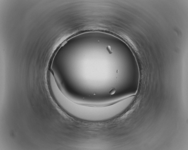 X0000113010893200909101815