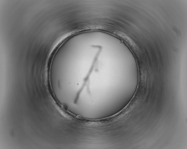 X0000113010894200909101815