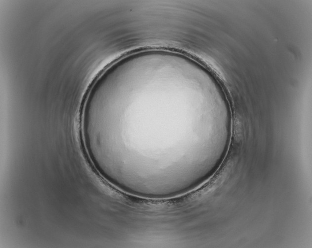 X0000113010895200909101815