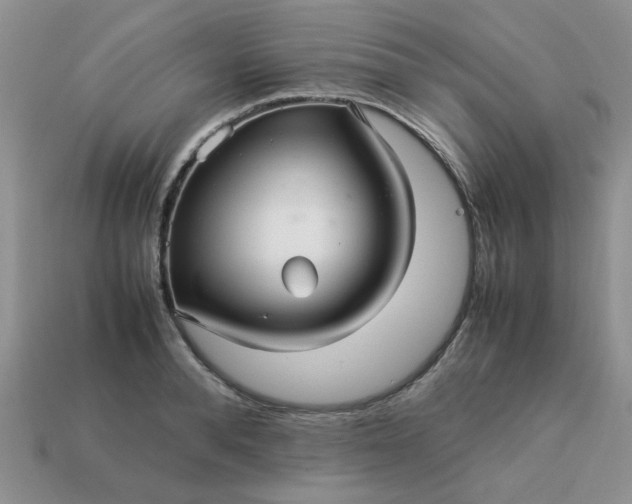 X0000113010896200909101815