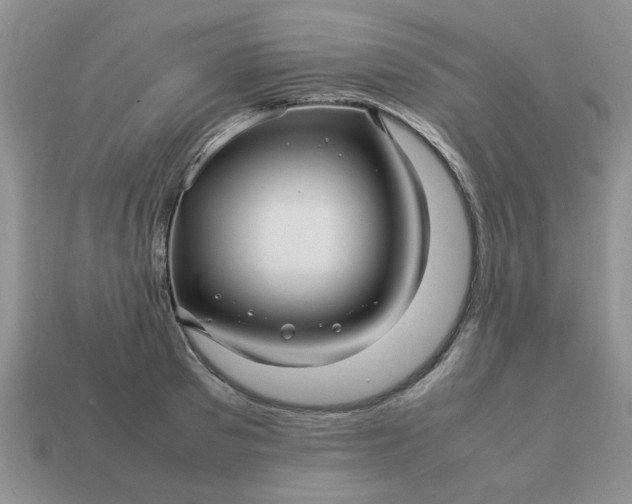 X0000113010897200909101815