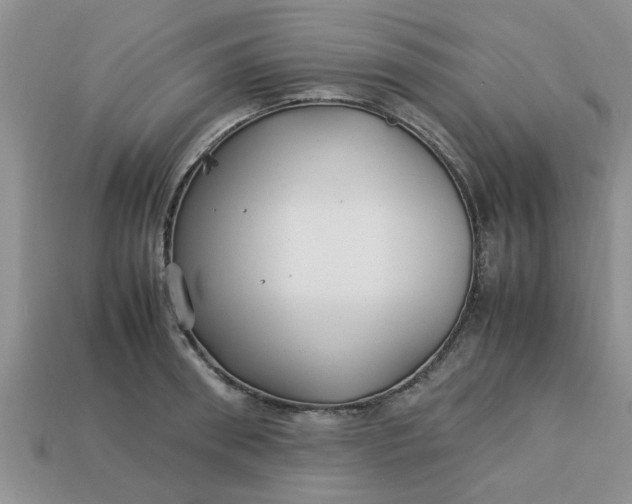 X0000113010898200909101815