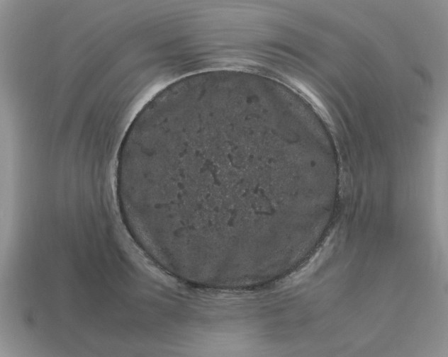 X0000113010899200909101815